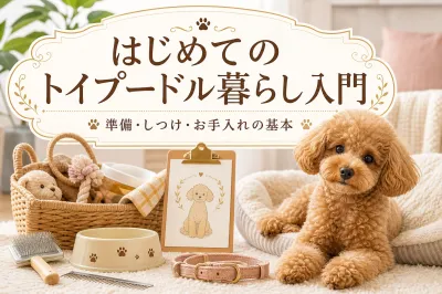 はじめてのトイプードル暮らし入門：準備・しつけ・お手入れの基本