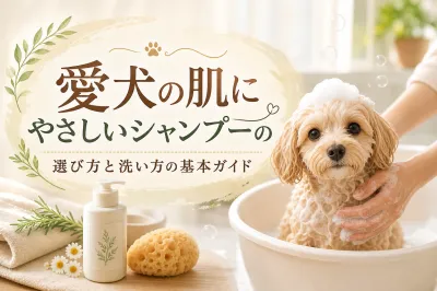 愛犬の肌にやさしいシャンプーの選び方と洗い方の基本ガイド