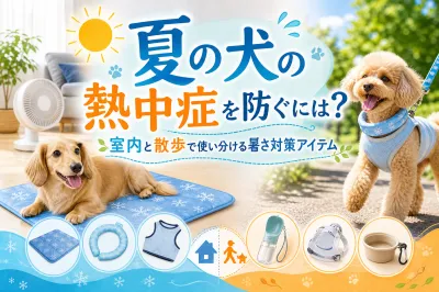 夏の犬の熱中症を防ぐには？室内と散歩で使い分ける暑さ対策アイテム