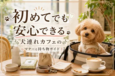 初めてでも安心できる犬連れカフェのマナーと持ち物ガイド