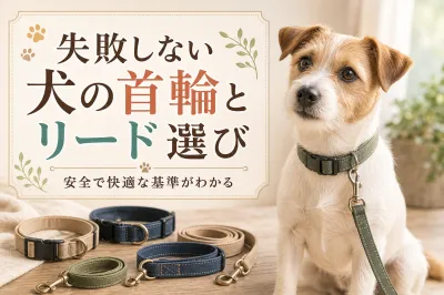 失敗しない犬の首輪とリード選び｜安全で快適な基準がわかる