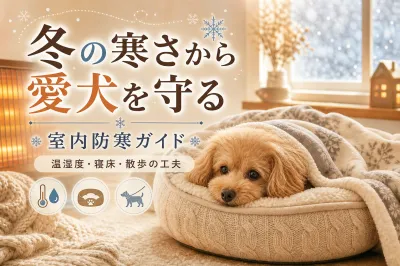 冬の寒さから愛犬を守る室内防寒ガイド｜温湿度・寝床・散歩の工夫