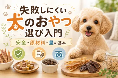 失敗しにくい犬のおやつ選び入門｜安全・原材料・量の基本