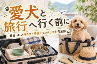 愛犬と旅行へ行く前に確認したい持ち物と準備チェックリスト完全版