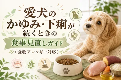 愛犬のかゆみ・下痢が続くときの食事見直しガイド（食物アレルギー対応）