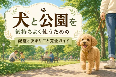 犬を公園に連れて行ってもいい？知っておきたいマナーとルール