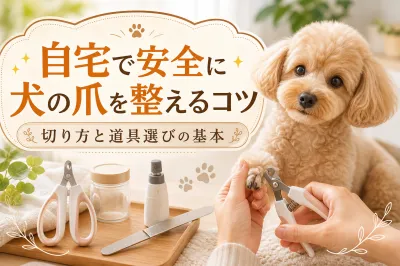自宅で安全に犬の爪を整えるコツ：切り方と道具選びの基本