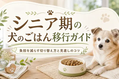 シニア期の犬のごはん移行ガイド：負担を減らす切り替え方と見直しのコツ