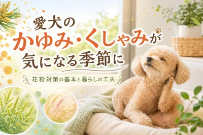 愛犬のかゆみ・くしゃみが気になる季節に 花粉対策の基本と暮らしの工夫