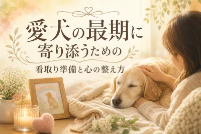 愛犬の最期に寄り添うための看取り準備と心の整え方