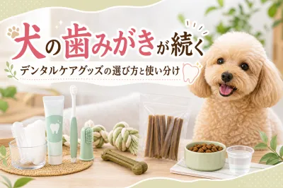 犬の歯みがきが続くデンタルケアグッズの選び方と使い分け