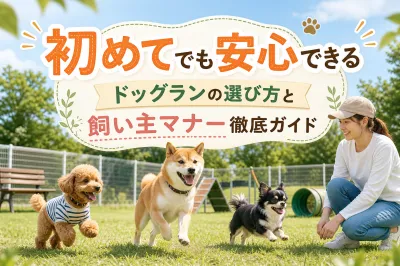 初めてでも安心できるドッグランの選び方と飼い主マナー徹底ガイド