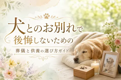 犬とのお別れで後悔しないための葬儀と供養の選び方ガイド