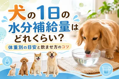 犬の1日の水分補給量はどれくらい？体重別の目安と飲ませ方のコツ