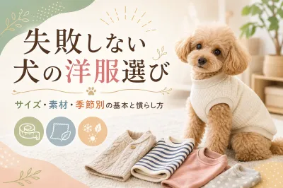 失敗しない犬の洋服選び｜サイズ・素材・季節別の基本と慣らし方