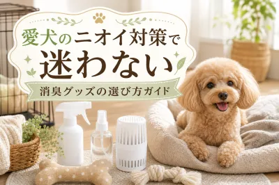 愛犬のニオイ対策で迷わない消臭グッズの選び方ガイド