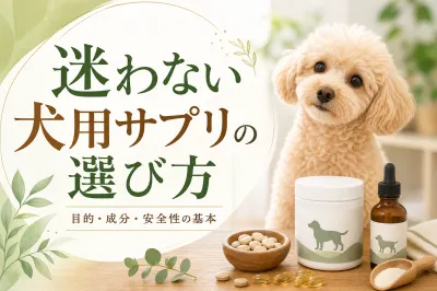 迷わない犬用サプリの選び方｜目的・成分・安全性の基本