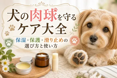 犬の肉球を守るケア大全｜保湿・保護・滑り止めの選び方と使い方