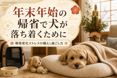 年末年始の帰省で犬が落ち着くために｜環境変化ストレスの備えと過ごし方