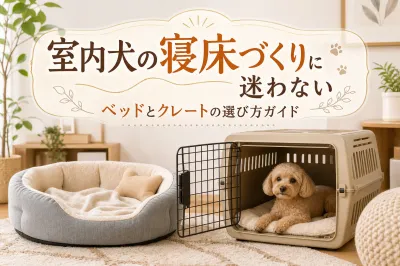 室内犬の寝床づくりに迷わない ベッドとクレートの選び方ガイド