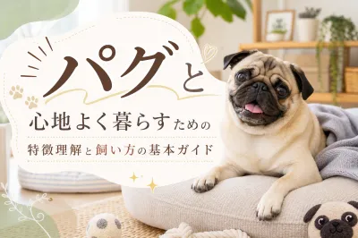 パグと心地よく暮らすための特徴理解と飼い方の基本ガイド