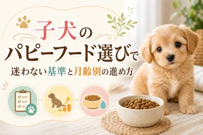 子犬のパピーフード選びで迷わない基準と月齢別の進め方