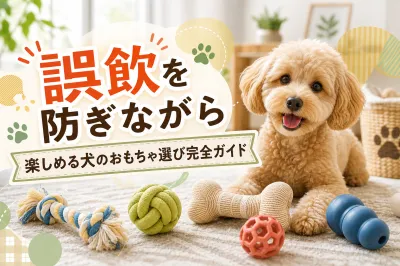 誤飲を防ぎながら楽しめる犬のおもちゃ選び完全ガイド
