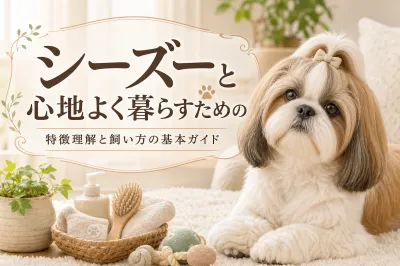 シーズーと心地よく暮らすための特徴理解と飼い方の基本ガイド