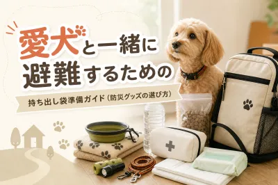 愛犬と一緒に避難するための持ち出し袋準備ガイド（防災グッズの選び方）