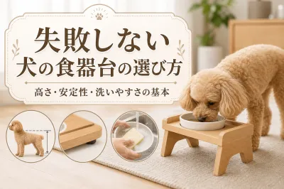 失敗しない犬の食器台の選び方｜高さ・安定性・洗いやすさの基本