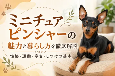 ミニチュアピンシャーの魅力と暮らし方を徹底解説｜性格・運動・寒さ・しつけの基本
