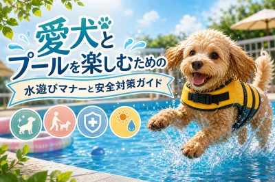 愛犬とプールを楽しむための水遊びマナーと安全対策ガイド
