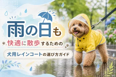 雨の日も快適に散歩するための犬用レインコートの選び方ガイド