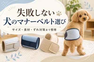 失敗しない犬のマナーベルト選び｜サイズ・素材・ずれ対策まで整理