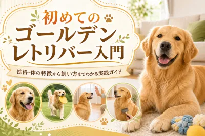 初めてのゴールデンレトリバー入門：性格・体の特徴から飼い方までわかる実践ガイド