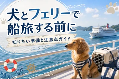 犬とフェリーで船旅する前に知りたい準備と注意点ガイド