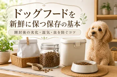 ドッグフードを新鮮に保つ保存の基本｜開封後の劣化・湿気・虫を防ぐコツ