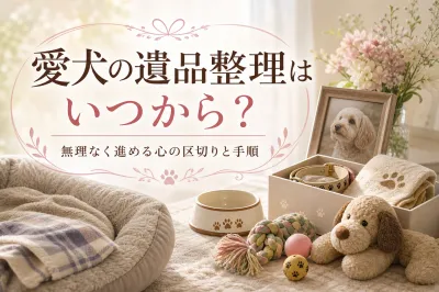 愛犬の遺品整理はいつから？無理なく進める心の区切りと手順