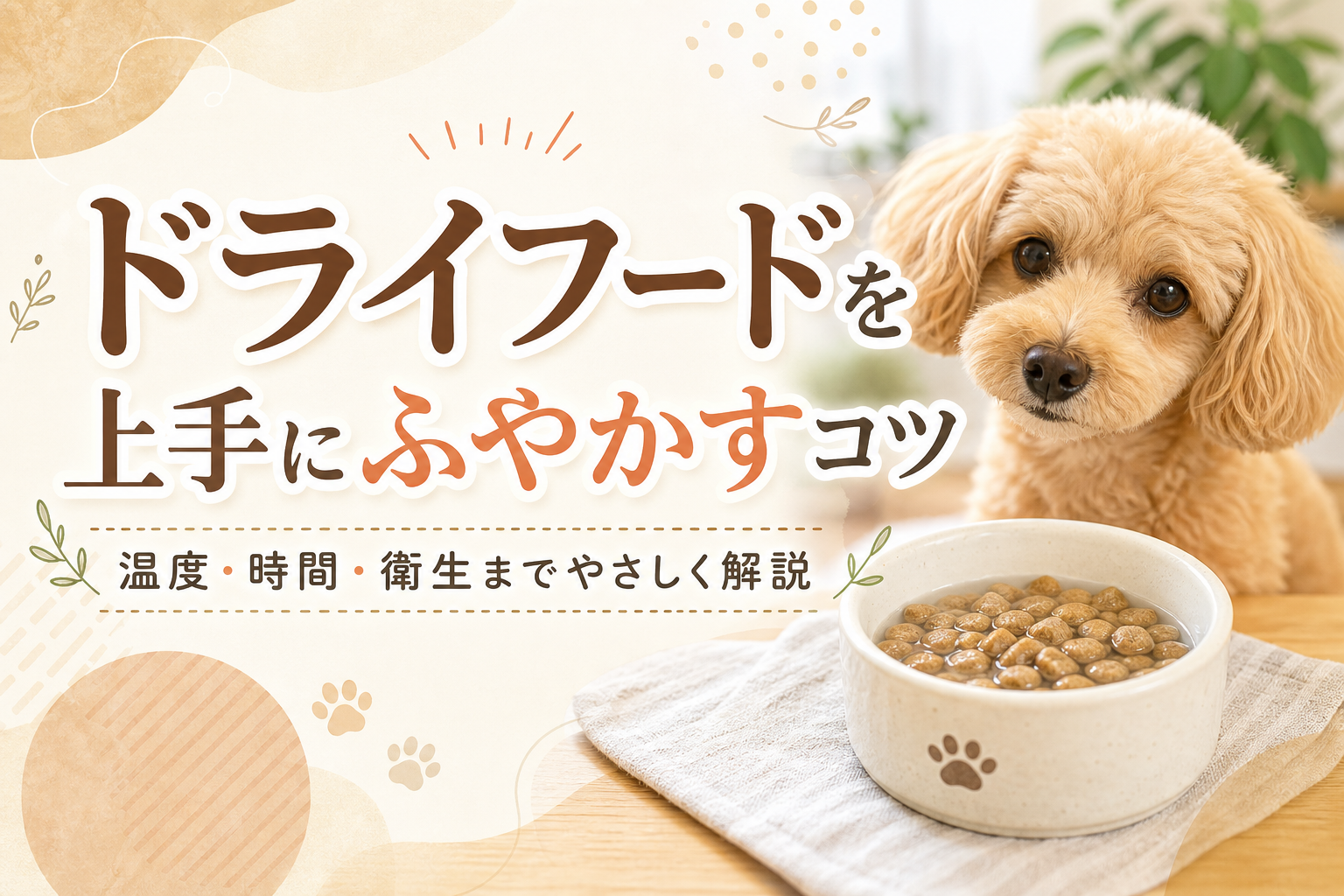 ドライフードを上手にふやかすコツ|温度・時間・衛生までやさしく解説