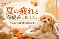 夏の疲れと寒暖差に負けない犬の秋の体調管理ガイド