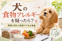 犬の食物アレルギーを疑ったら？検査の流れと家庭でできる準備